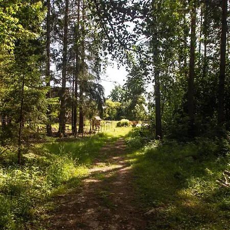 Vanaisa Juures Maal Campsite