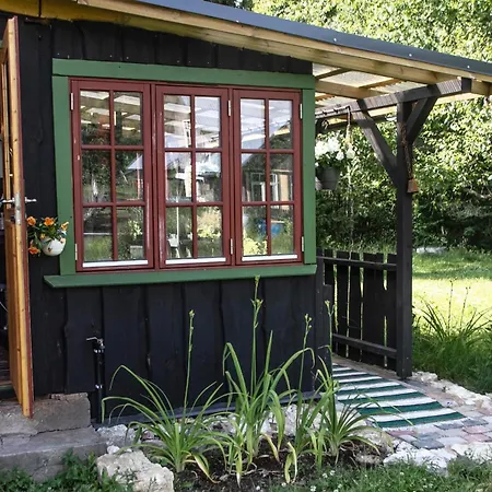 مكان تخييم Vanaisa Juures Maal Tammiku (Laane)